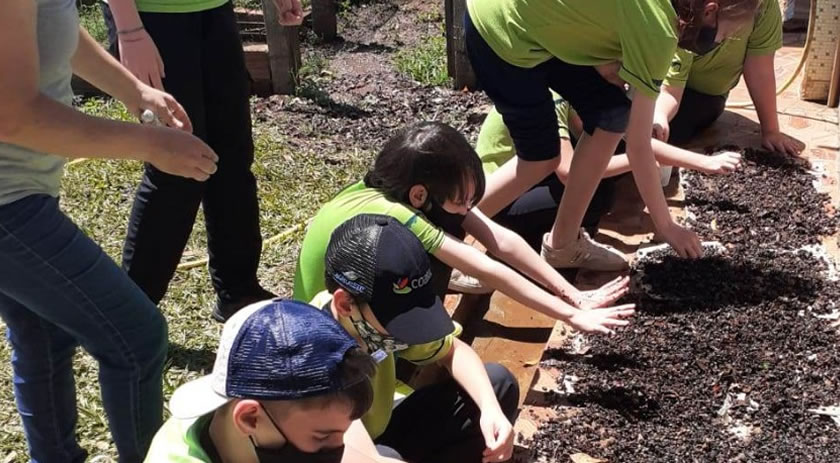 Projeto Plantando Vida completa 15 anos