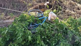 Ciclista sobrevive após despencar de barranco de 8 metros de altura em rodovia no Paraná