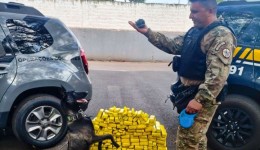 Cadela da Polícia Penal fareja e ajuda a apreender 81 kg de maconha no Paraná