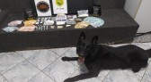 Três homens são presos por suspeita de tráfico de drogas