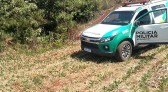 Operação Nascente Viva atende 27 ocorrências de crimes ambientais no fim de semana