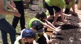 Projeto Plantando Vida completa 15 anos