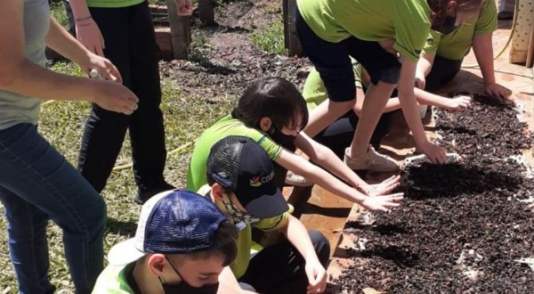Projeto Plantando Vida completa 15 anos