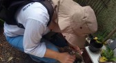 Alerta: aumenta índice de infestação do Aedes em Beltrão
