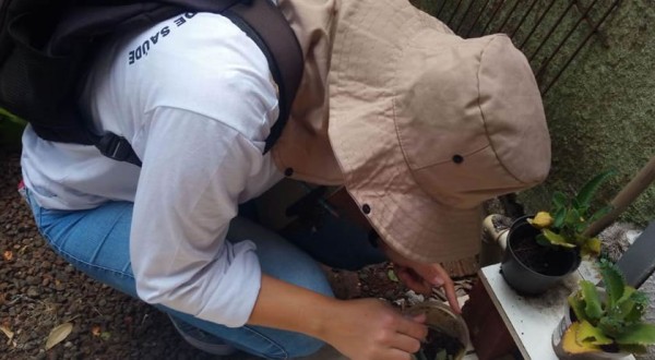 Alerta: aumenta índice de infestação do Aedes em Beltrão