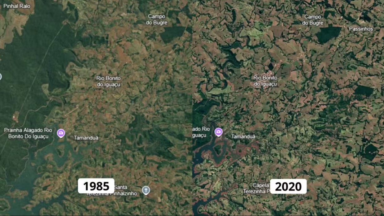 De um lado, em 1985, a região de Rio Bonito do Iguaçu mantinha uma área grande de floresta. Do outro, em 2020, é possível notar que praticamente toda a área vende foi desmatada. — Foto: Google Earth