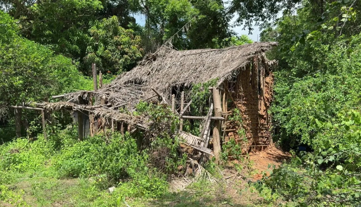 Casa abandonada na zona rural de Bacabal (MA) encontrada por cães farejadores que participam das buscas por crianças desaparecidas. • SSP-MA