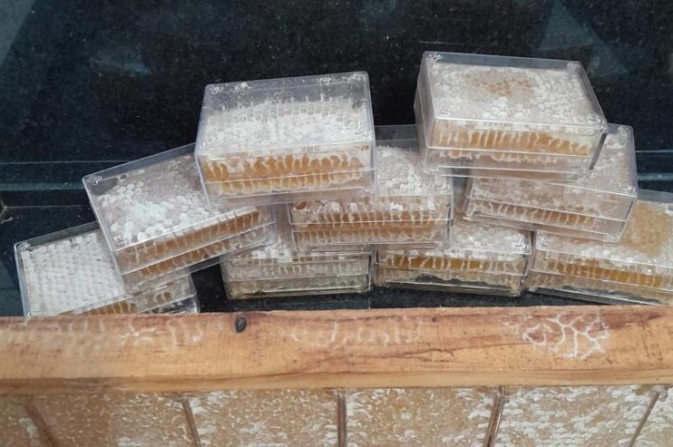 Produção de mel fortalece agroindústria e amplia mercados