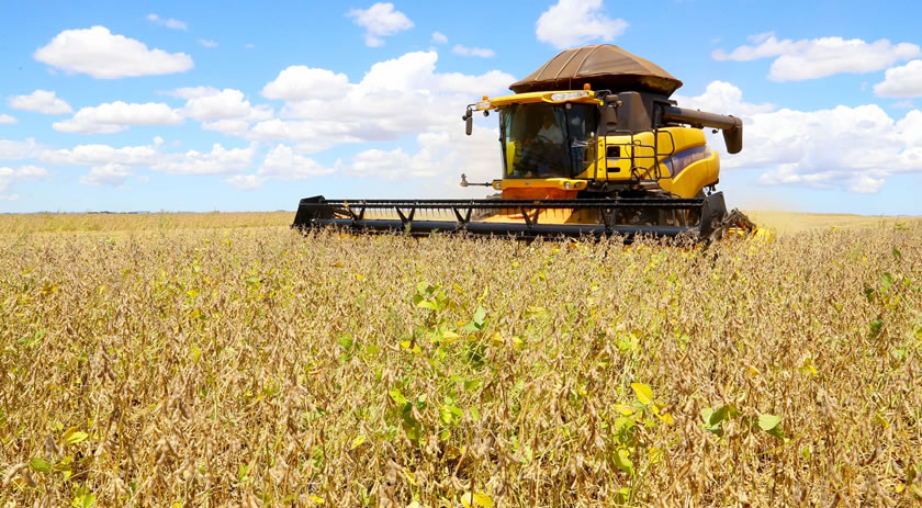 Paraná deve produzir 14,74 milhões de toneladas de grãos na safra de verão