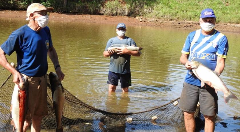 Inicia a venda de peixes para a Semana Santa