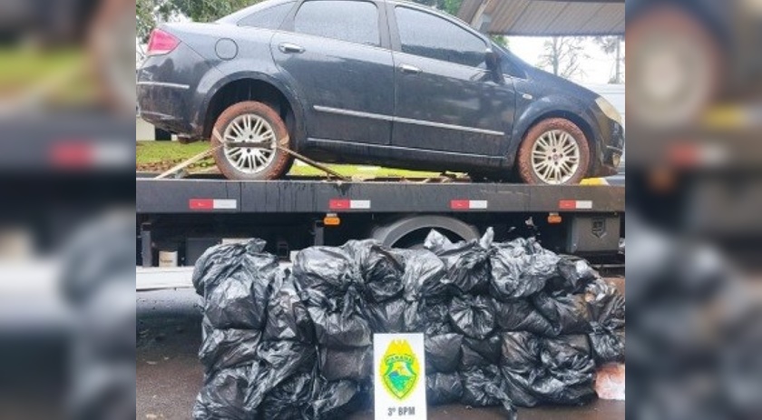 Polícia Militar apreende veículo com 660 quilos de camarão