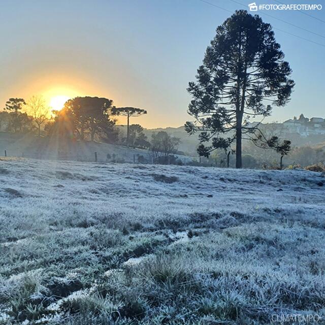 Inverno brasileiro começa hoje e será mais frio que em 2024