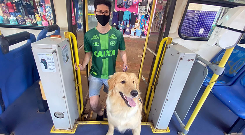 Chapecó aprova lei que autoriza cão guia para pessoas com deficiência