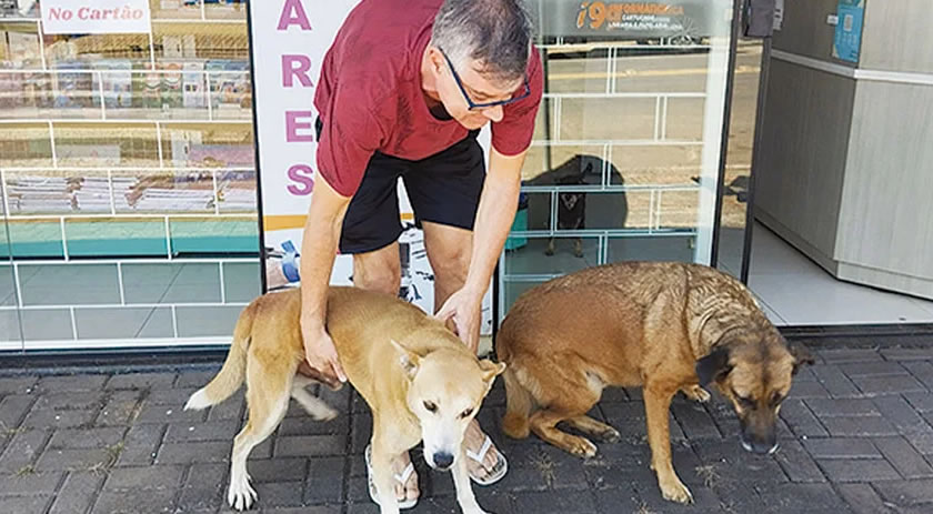 Memezão e Dango, os cães comunitários da Cango