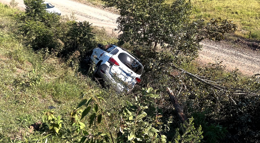 Boi na pista provoca acidente com veículo da saúde que seguia para São Miguel do Oeste