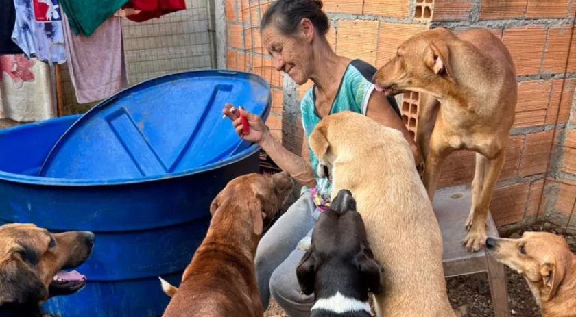 Idosa vive com 90 cães em casa precária