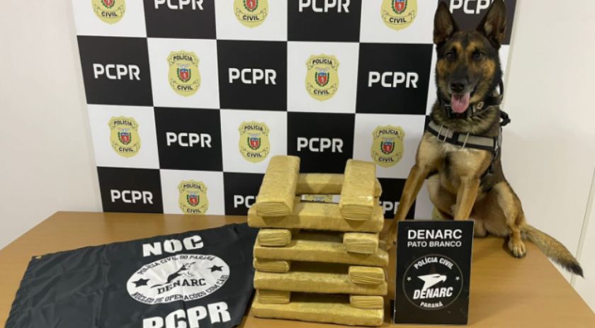 Polícia Civil apreende 17,200 kg de maconha durante Operação Protetor das Fronteiras e Divisas em Vitorino