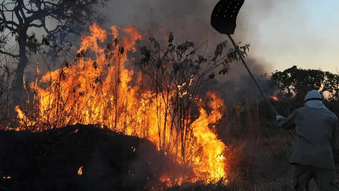 MPF aciona justiça para contratação de brigadistas contra incêndios