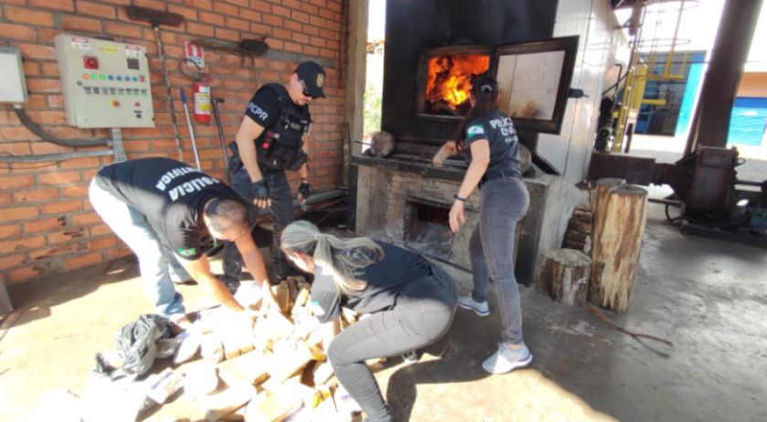 Polícia Civil incinera drogas apreendidas em Francisco Beltrão