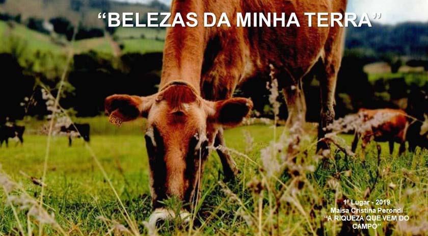 Concurso de fotografias vai premiar os cinco melhores colocados