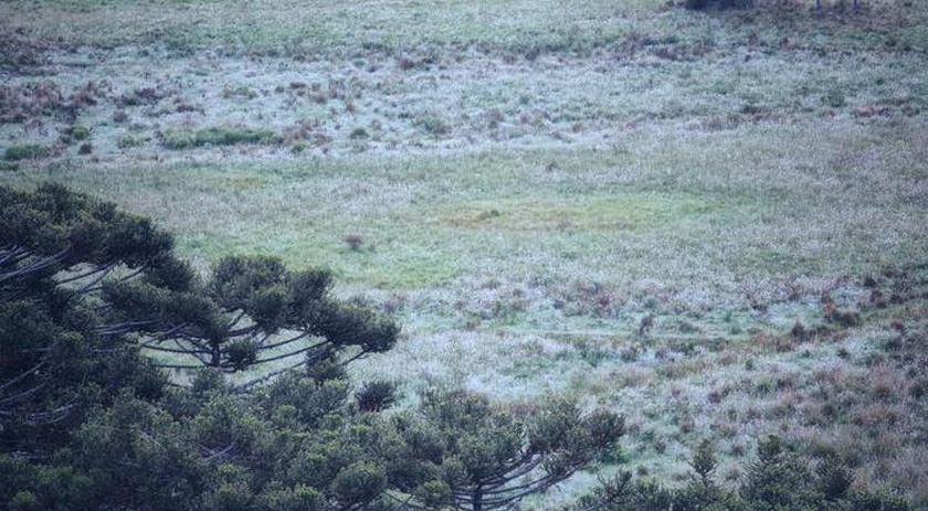 Madrugada de terça-feira pode ser a mais fria do ano até agora, aponta Defesa Civil de Santa Catarina