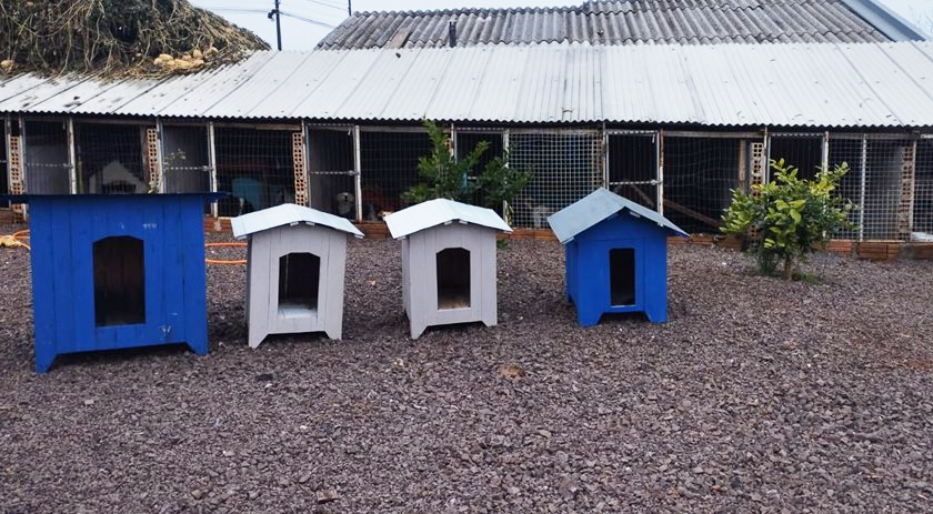 Projeto da Penitenciária inicia construção de casinhas de cachorro com material reciclável