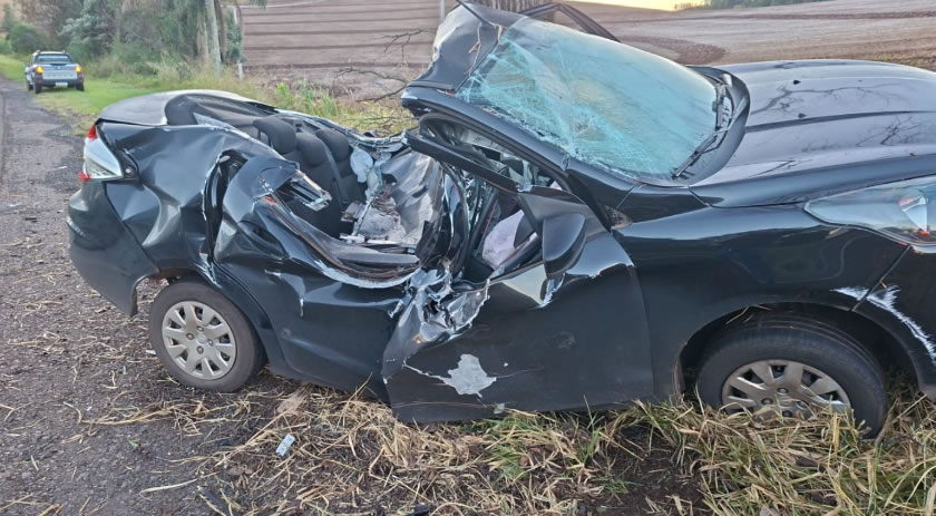 Motorista fica gravemente ferido após carro sair da pista e bater contra árvore na BR-158