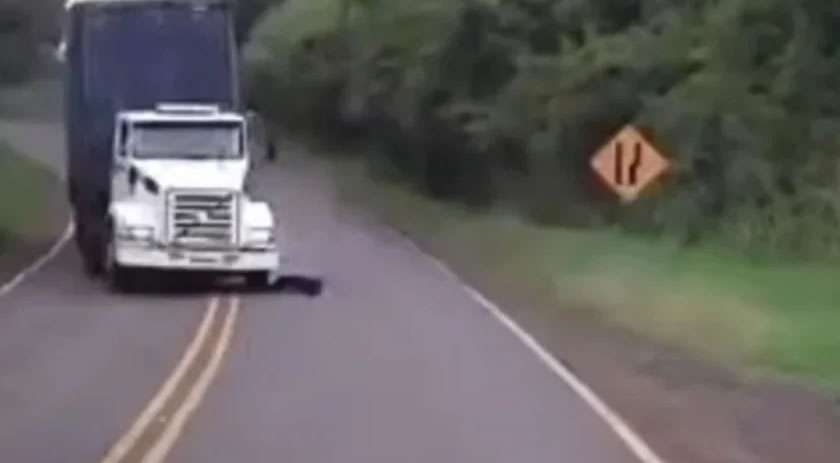 Vídeo flagra momento em que caminhão perde controle e quatro pessoas morrem em batida frontal; assista