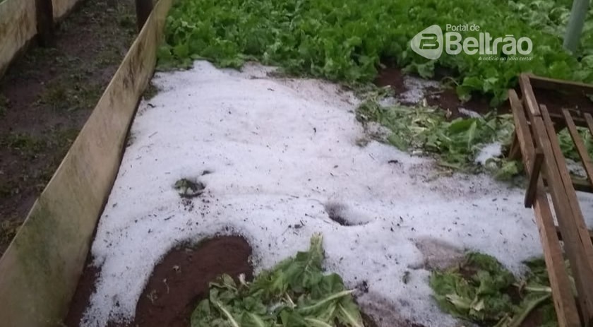Chuva de granizo atinge propriedade em Beltrão