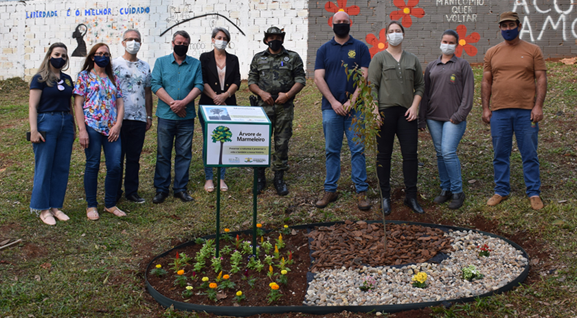 Lideranças realizam plantio de arvore símbolo de Marmeleiro