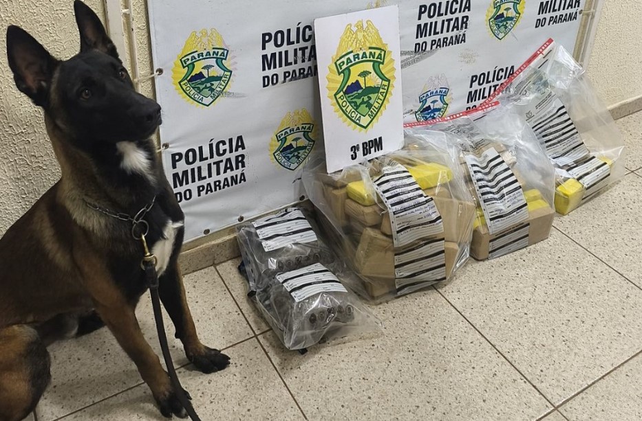 Polícia Militar apreende mais de 30 quilos de maconha