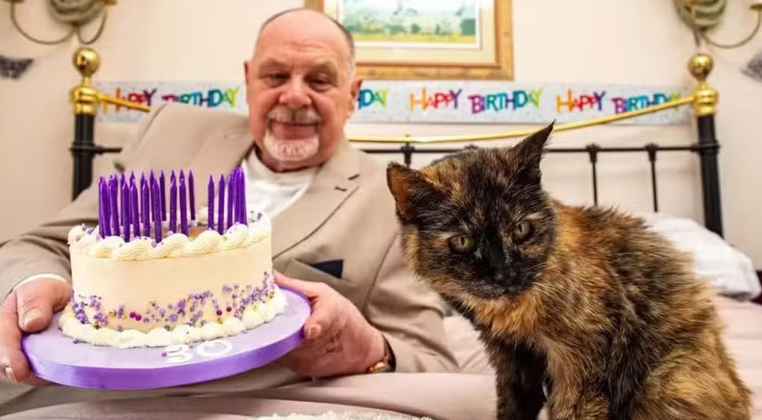 Gata de 31 anos pode se tornar a mais velha do mundo após rotina de cuidados especiais