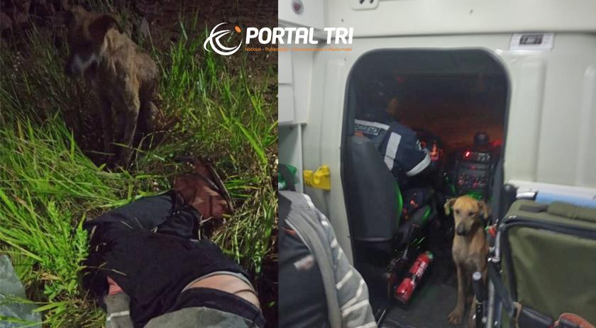 Cão acompanha tutor durante atendimento de socorro