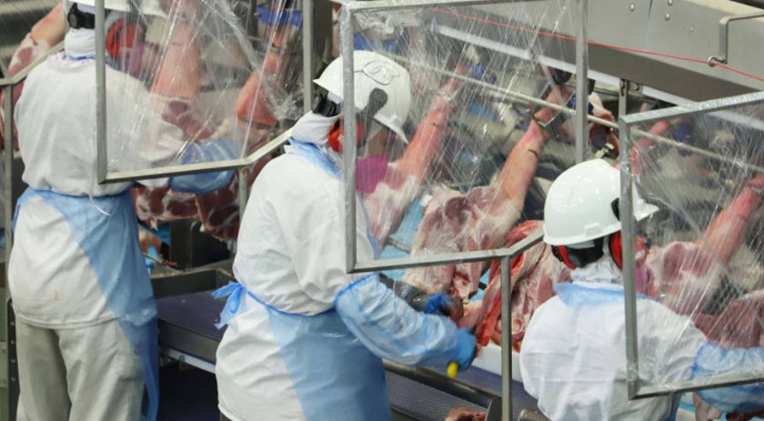 Quase 800 vagas de trabalho são disponibilizadas pelo SINE em SMOeste