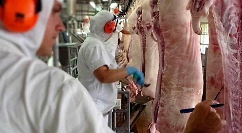 Boletim aponta que São Miguel do Oeste tem 802 vagas de trabalho disponíveis