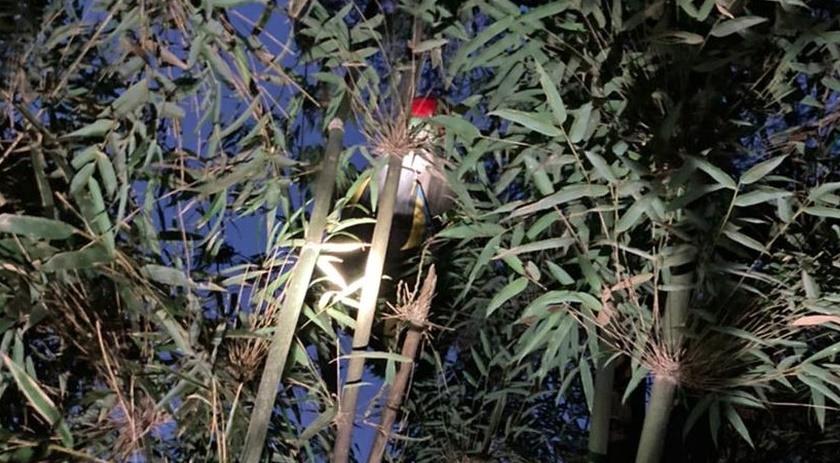 Homem fica preso entre galhos em área de mata após saltar de parapente em SC