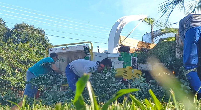 Serviço de trituração da destinação correta para galhos e beneficia agricultores