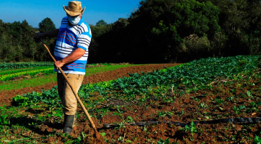 Reativado, programa de crédito fundiário viabiliza compra de terras no Paraná