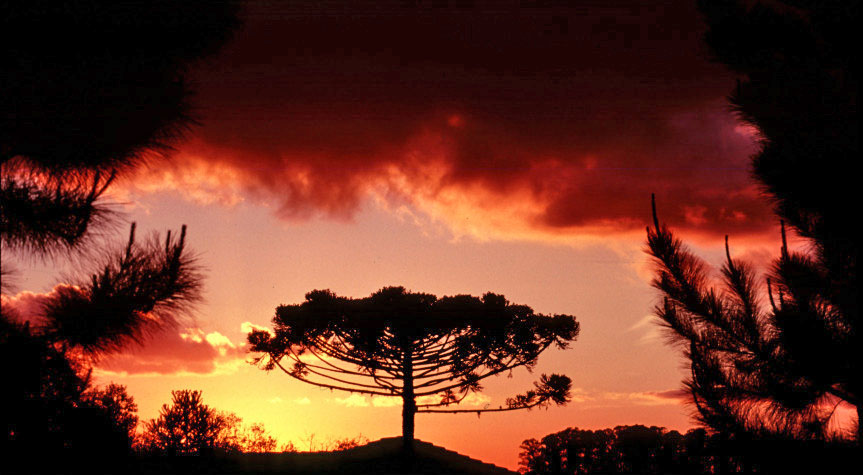 Terça-feira deve ser de sol entre nuvens