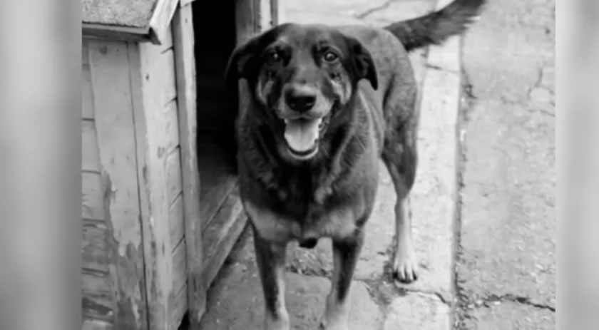 Familiar de suspeito tentou esconder peça-chave da investigação