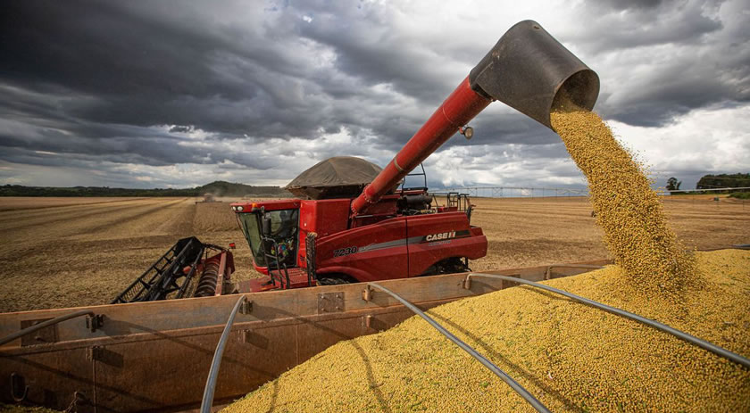 Safra de grãos em 2022 poderá chegar a 271,9 toneladas, diz IBGE