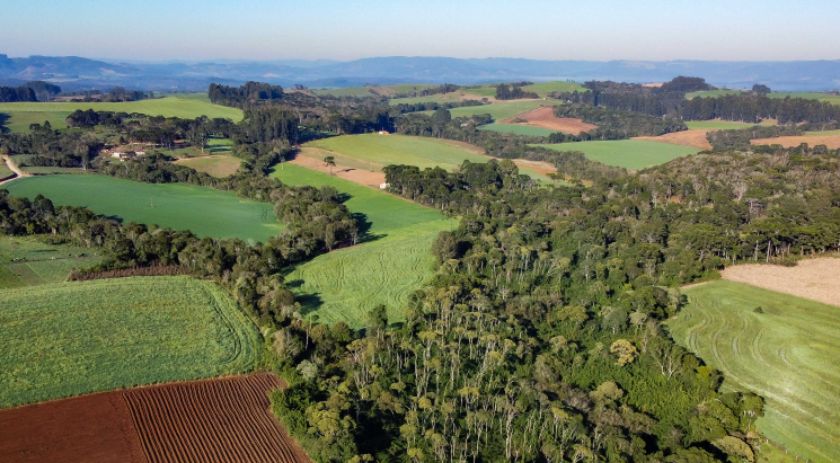Com protagonismo ambiental, Paraná é o terceiro estado mais competitivo do Brasil