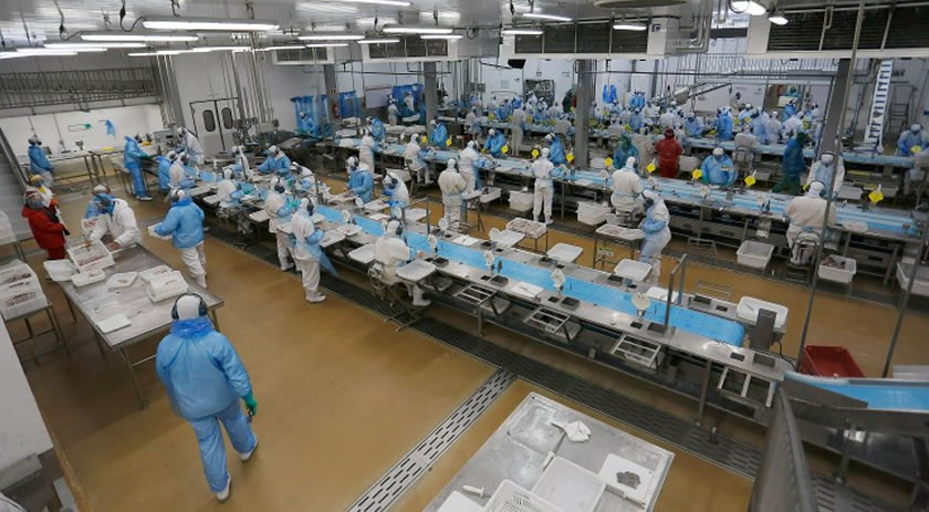 Setembro inicia com 25,1 mil vagas de emprego nas Agências do Trabalhador do Paraná