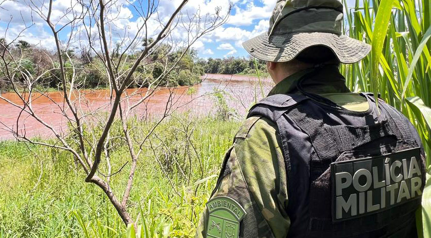PMPR resgata 216 animais e interrompe desmatamento ilegal de 159 hectares em junho