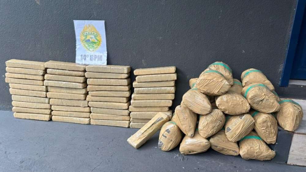 Mais de 55 quilos de maconha são apreendidos pela Polícia Militar