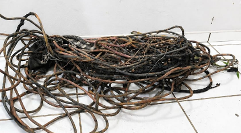PM flagra dois homens queimando fios elétricos para retirar cobre