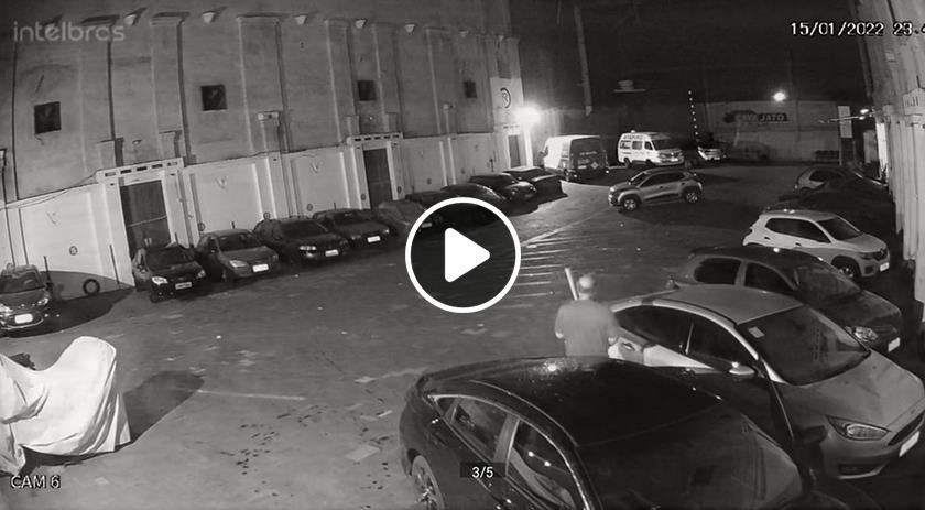 Cenas fortes: Polícia Civil investiga homem que espancou cachorro até a morte no RS