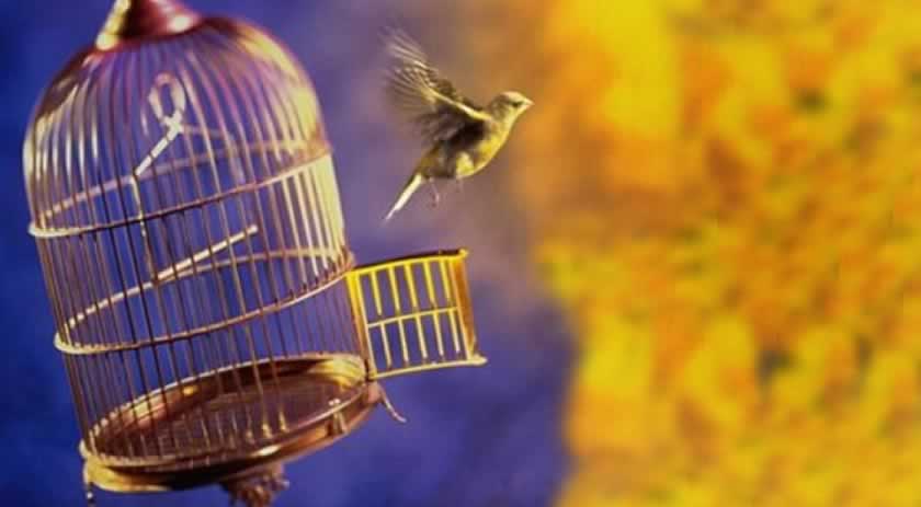 O Amor Romântico e seus disfarces