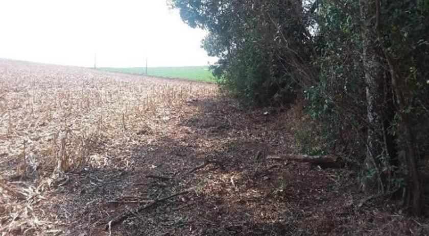 Corpo de mulher é encontrado no interior de município do Oeste de SC