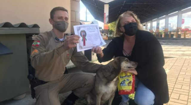 Cachorro ataca ladrão e ajuda policial a evitar crime em SC